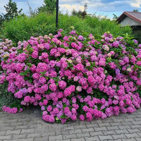 Dworek Sw.Antoniego Slawutowo Exterior foto